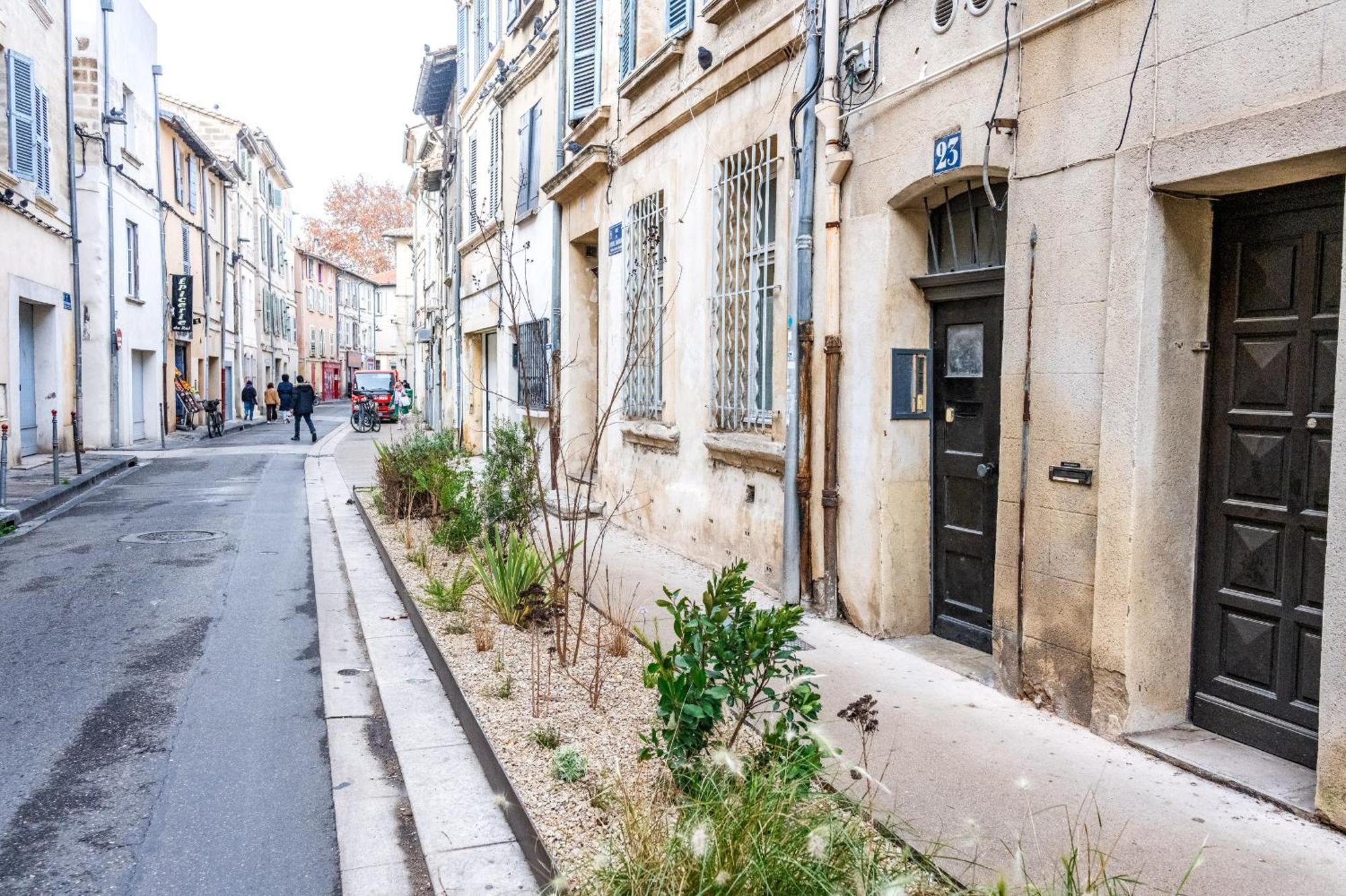 Ecrin De Verdure : Confort Et Modernite Avignon